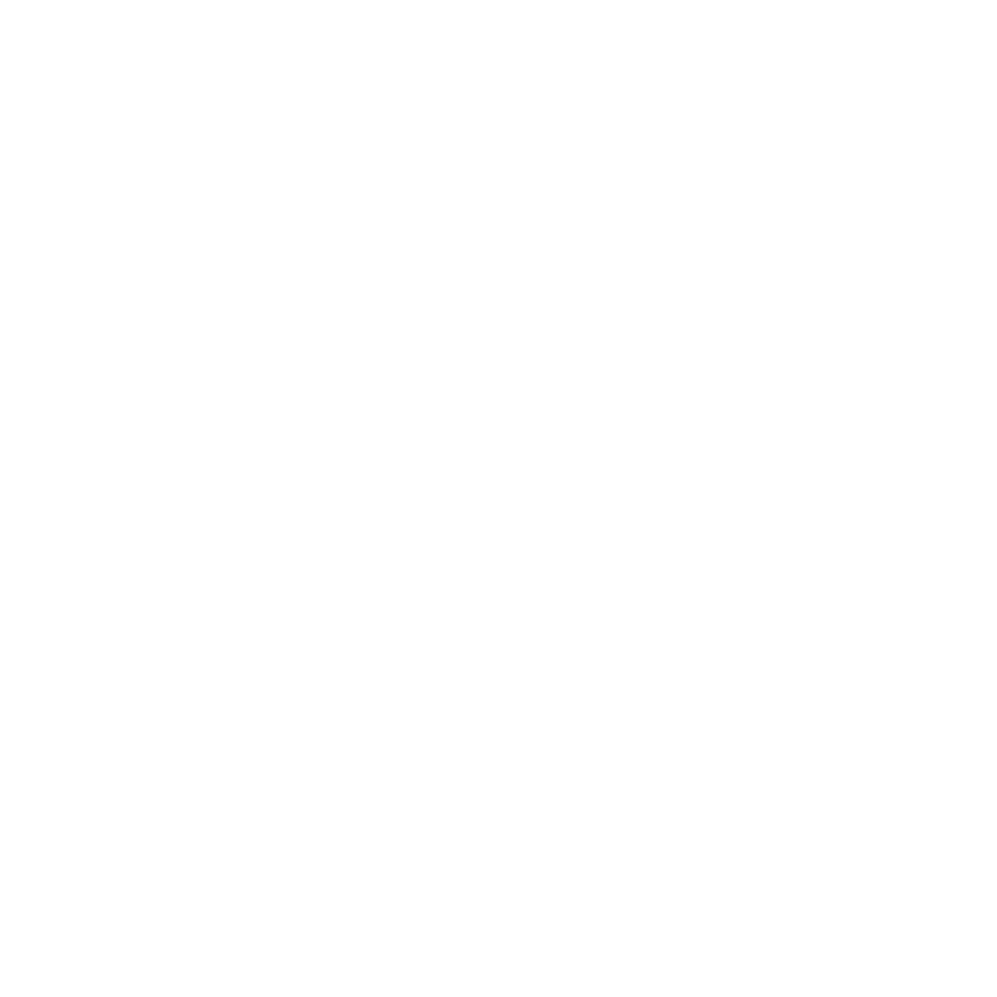 The image contains rabid studios logo in transparent background with white text "Rabid Studios.